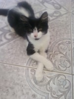 /album/galeria-de-fotos-pagina-inicial/foto-2476-001-jpg/